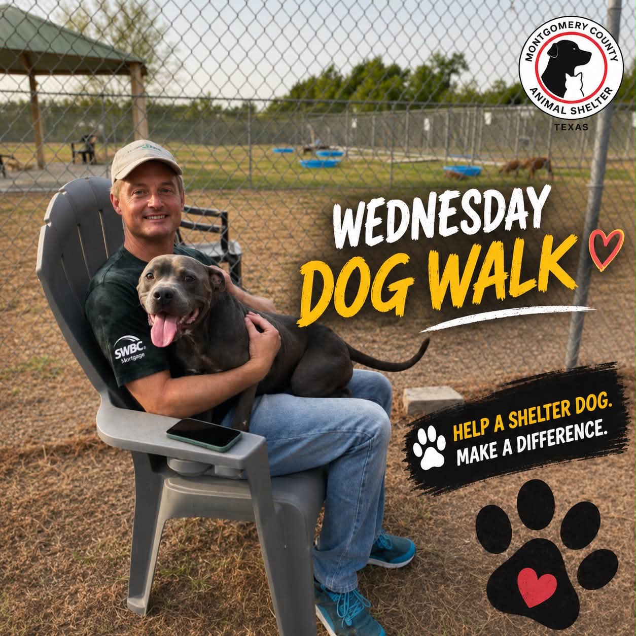 Wednesday Night Dog Walk in Conroe: How The Woodlands Neighbors Can Help Montgomery County Shelter Dogs